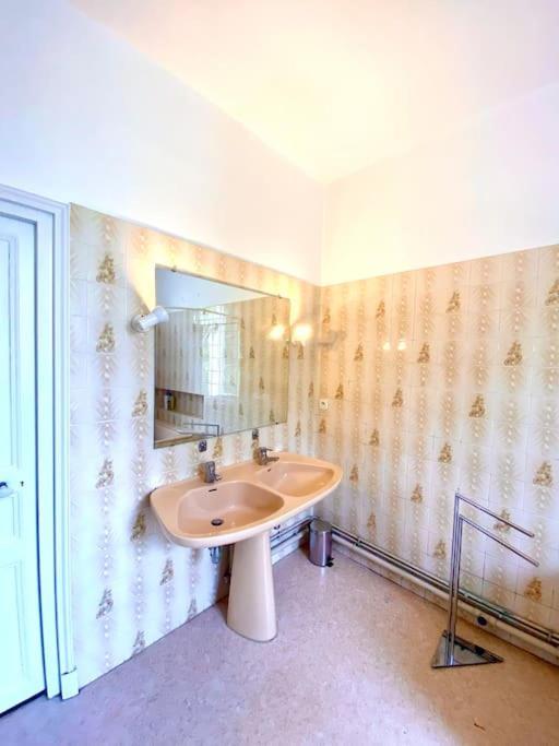Villa Demeure St Martin à Vierzon Extérieur photo