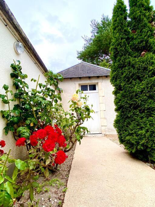 Villa Demeure St Martin à Vierzon Extérieur photo